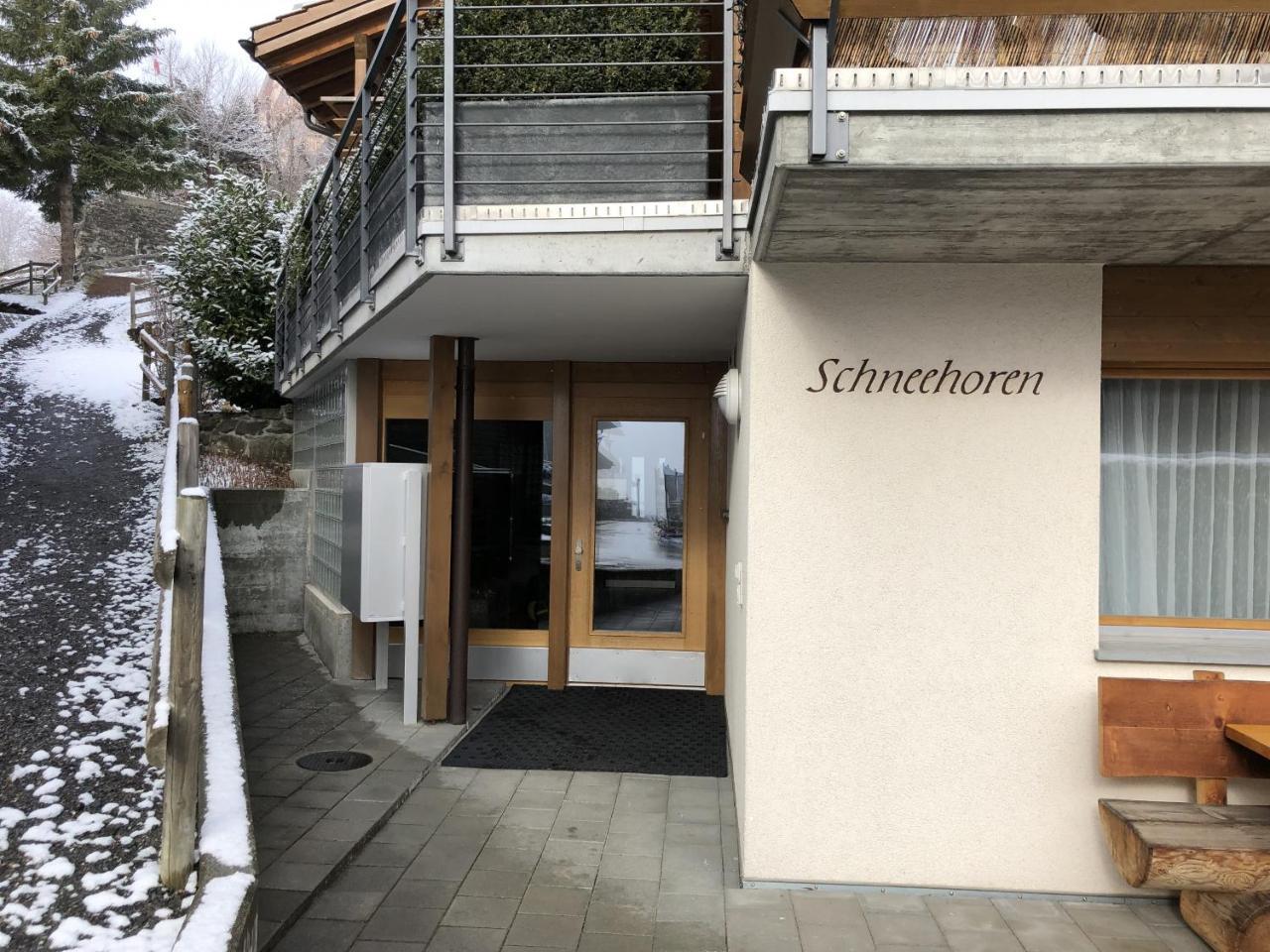 Chalet Schneehoren Penthouse Wengen Dış mekan fotoğraf